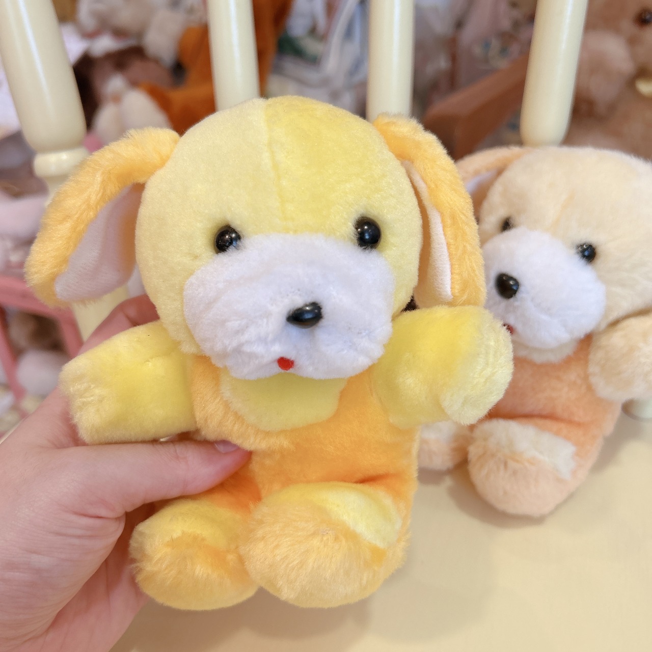 dogの画像06