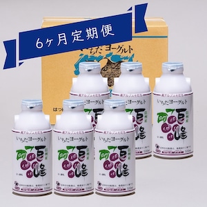 【配達曜日指定便★お得★】【定期便】「いちだヨーグルト　巨峰」500ml×6本（J-56-2T*6）