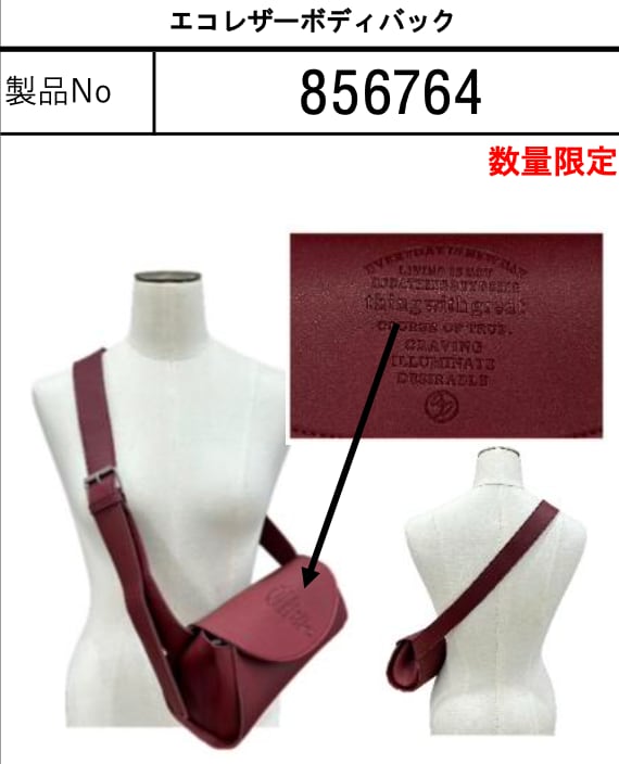 ayane/アヤン オリジナルエコレザーボディバック ブロンズ ご予約 ayane アヤン エコレザーボディバック 856764 | BENE