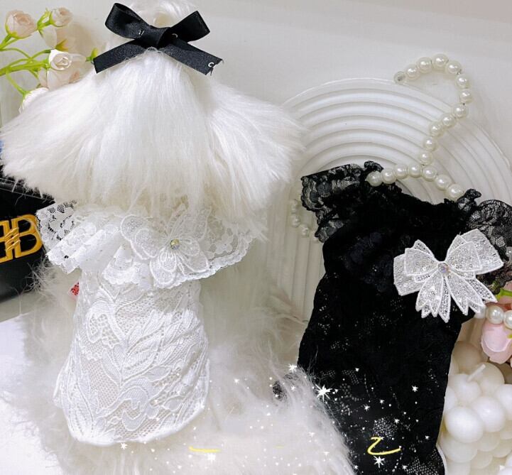 《予約》1103165 レーストップス