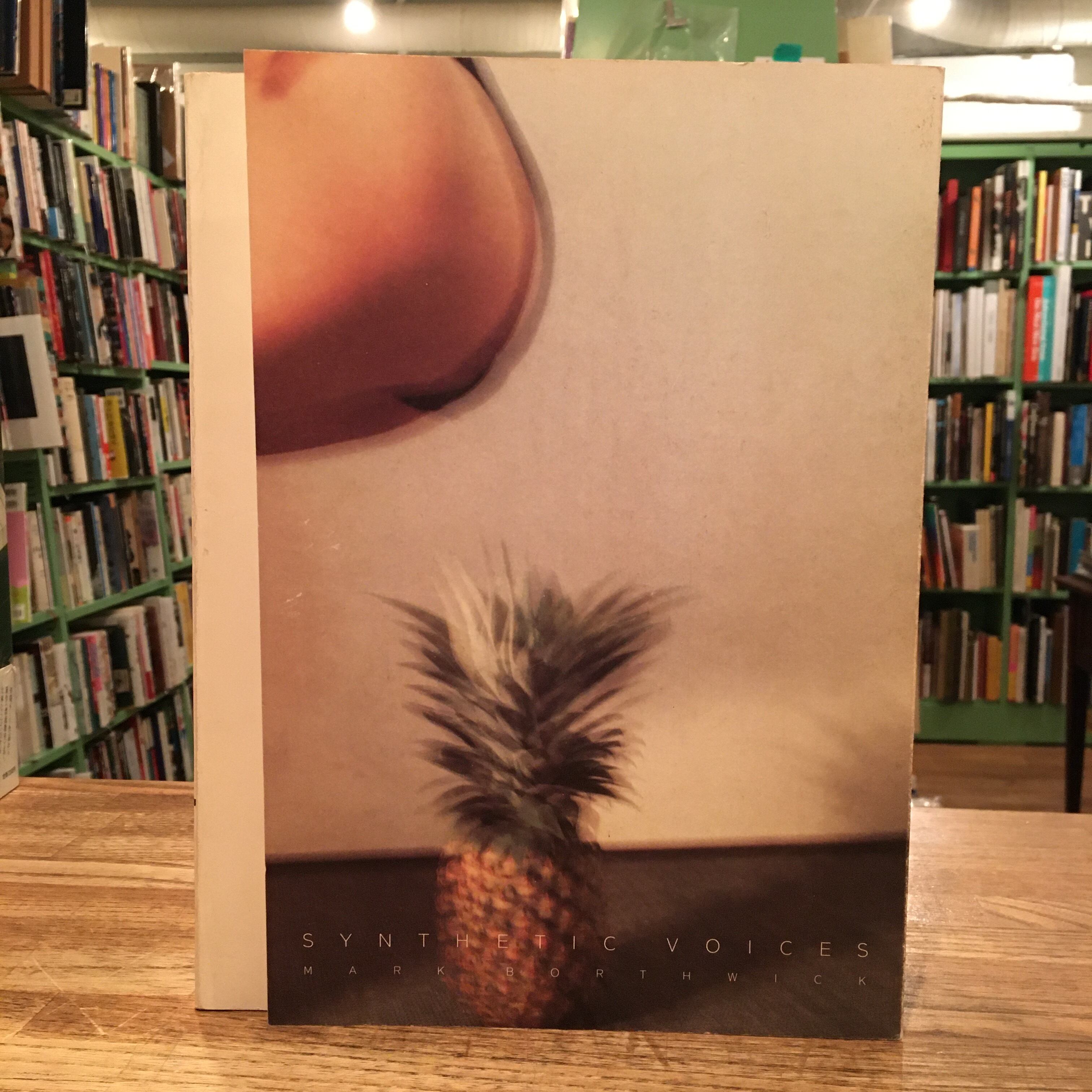 [レア] Mark Borthwick 作品集 SYNTHETIC VOICES / MARK BORTHWICK | 百年