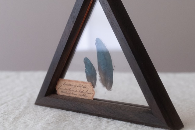 空中標本 - セイキムクドリの羽 × 銘木 黒檀