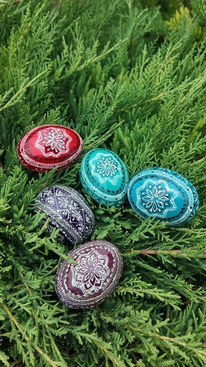 2026年UA.Designerヴィシヴァンカ入り福袋/大感謝還元祭（Ｍ）