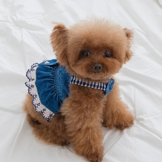 【予約】[EOMUKMARKET] ラブウォッシングデニムビスチェ