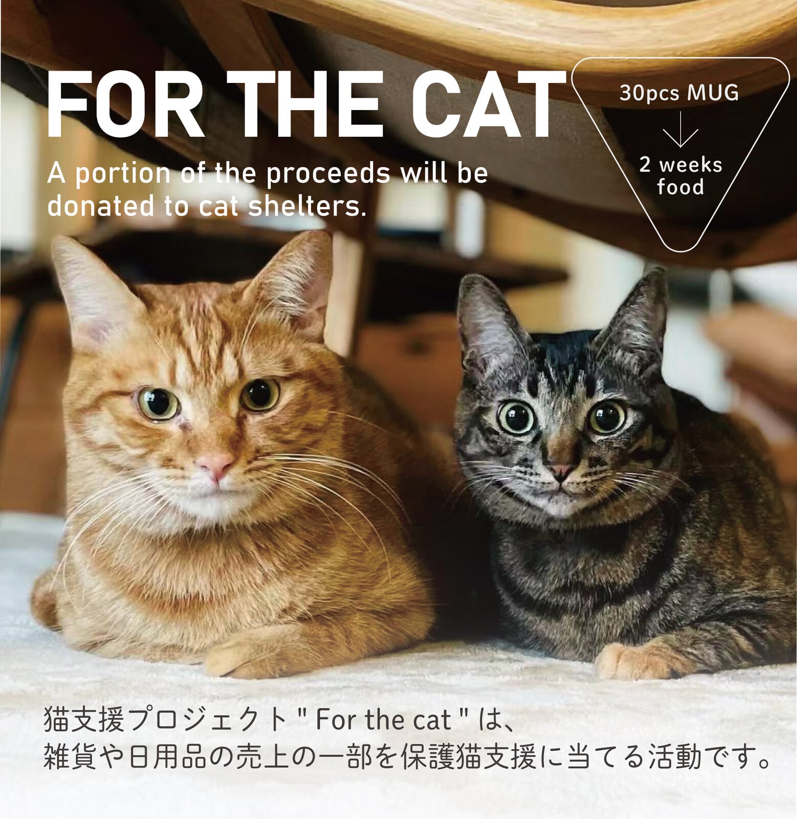 マグカップ｜蓋にも小皿にもなる猫皿付き 猫 ねこ ネコ 猫雑貨 猫グッズ かわいい プレゼント 贈り物 おうち時間 おうちカフェ 猫好きさんへプレゼント