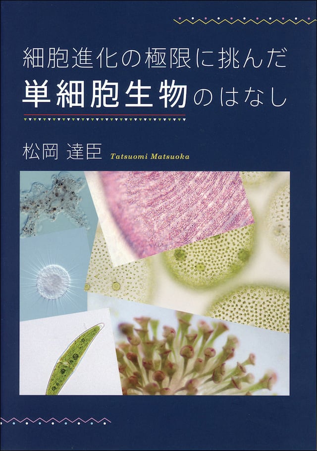 細胞進化の極限に挑んだ 単細胞生物のはなし | 南の風社：BOOK SHOP