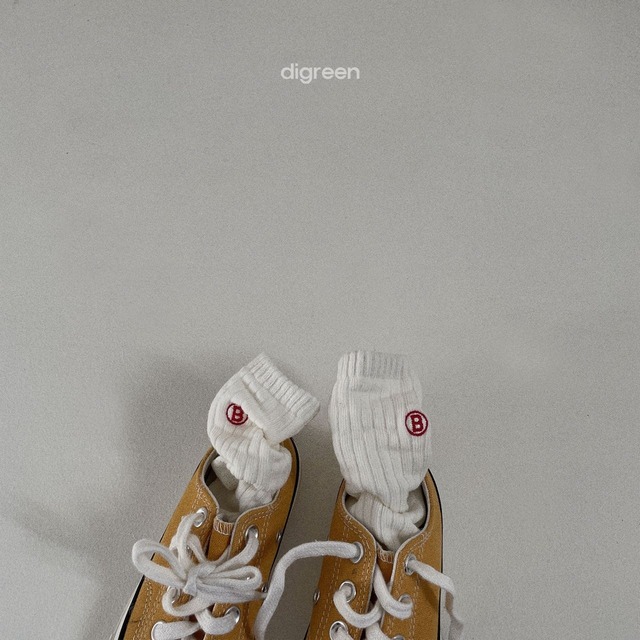 〘予約〙digreen / socks_butter