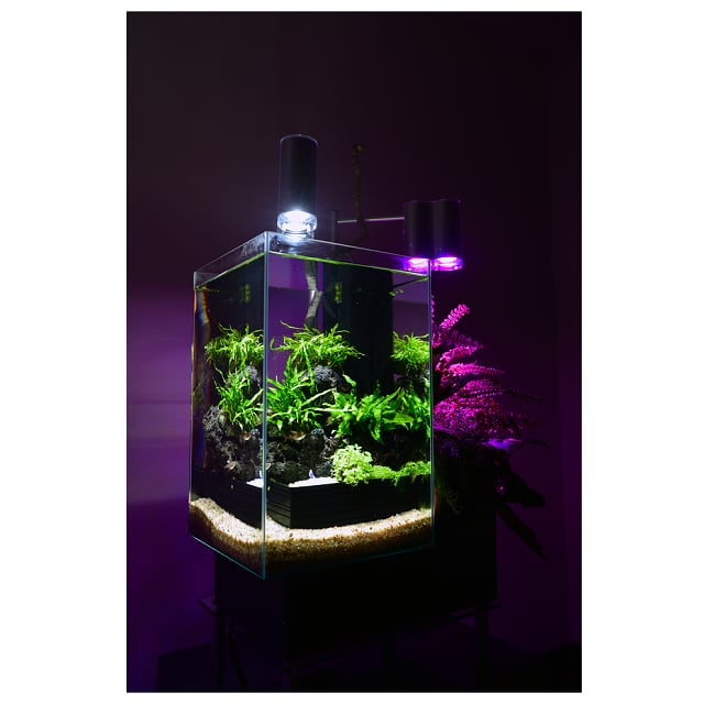 (直送品)ベムパートナー brio35 60Hz仕様 (ブラック) 329018 [ポイント最大15倍] ベムパートナー brio35 水槽セット 50Hz