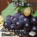 朝もぎ！ぶどう巨峰（種なし）葡萄４-５房