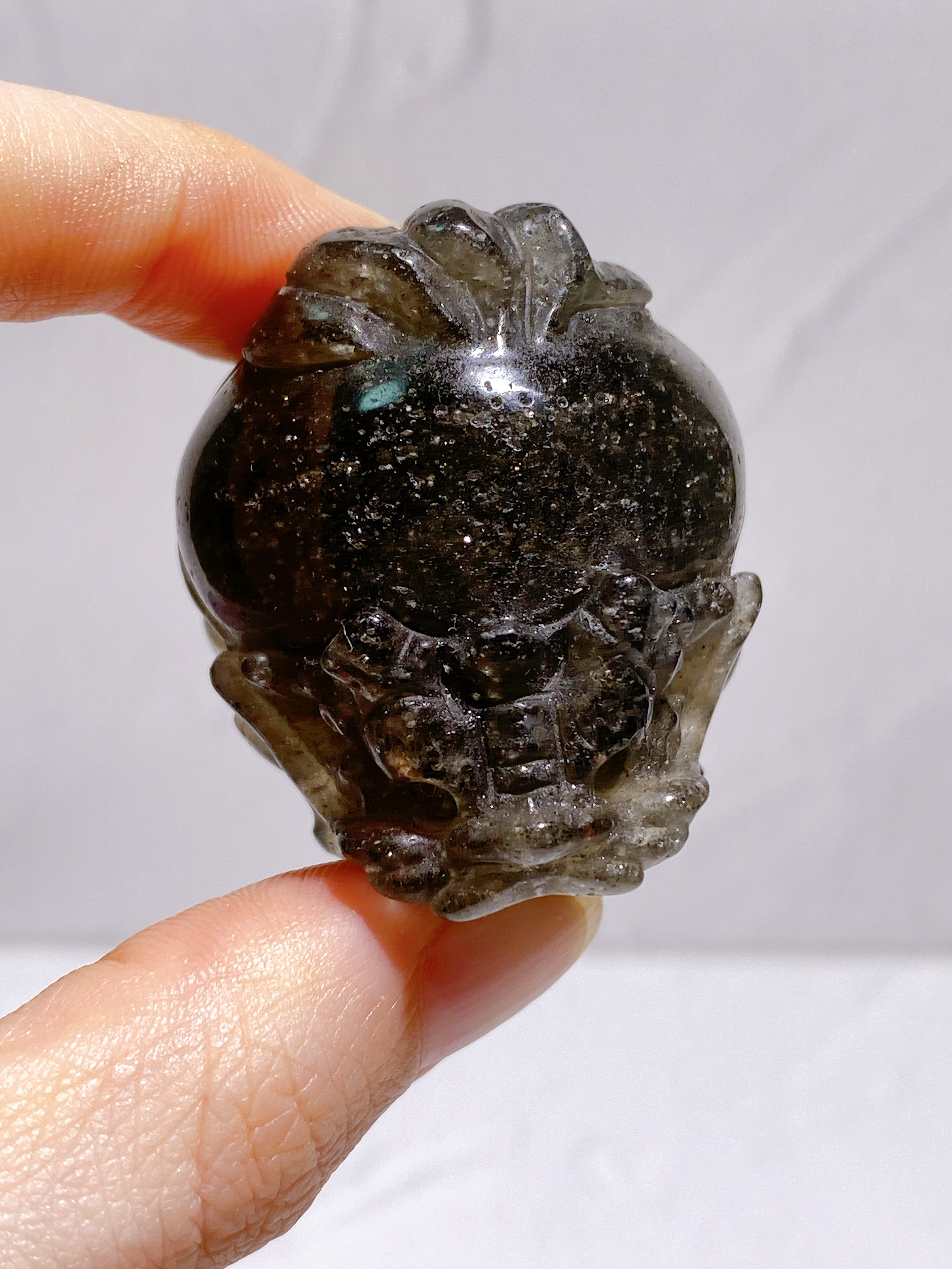 龍亀(ロングイ) | 9rinto