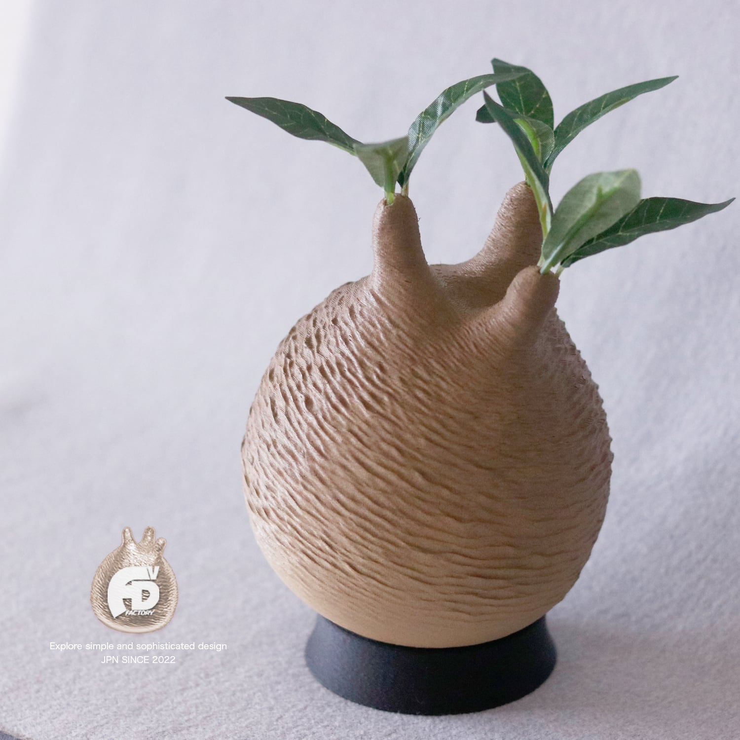 触れたくなるCaudex造形｜パキポディウム グラキリス｜(140x270) Msize