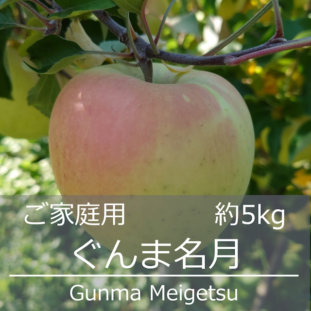 ぐんま名月 ご家庭用 約5kg