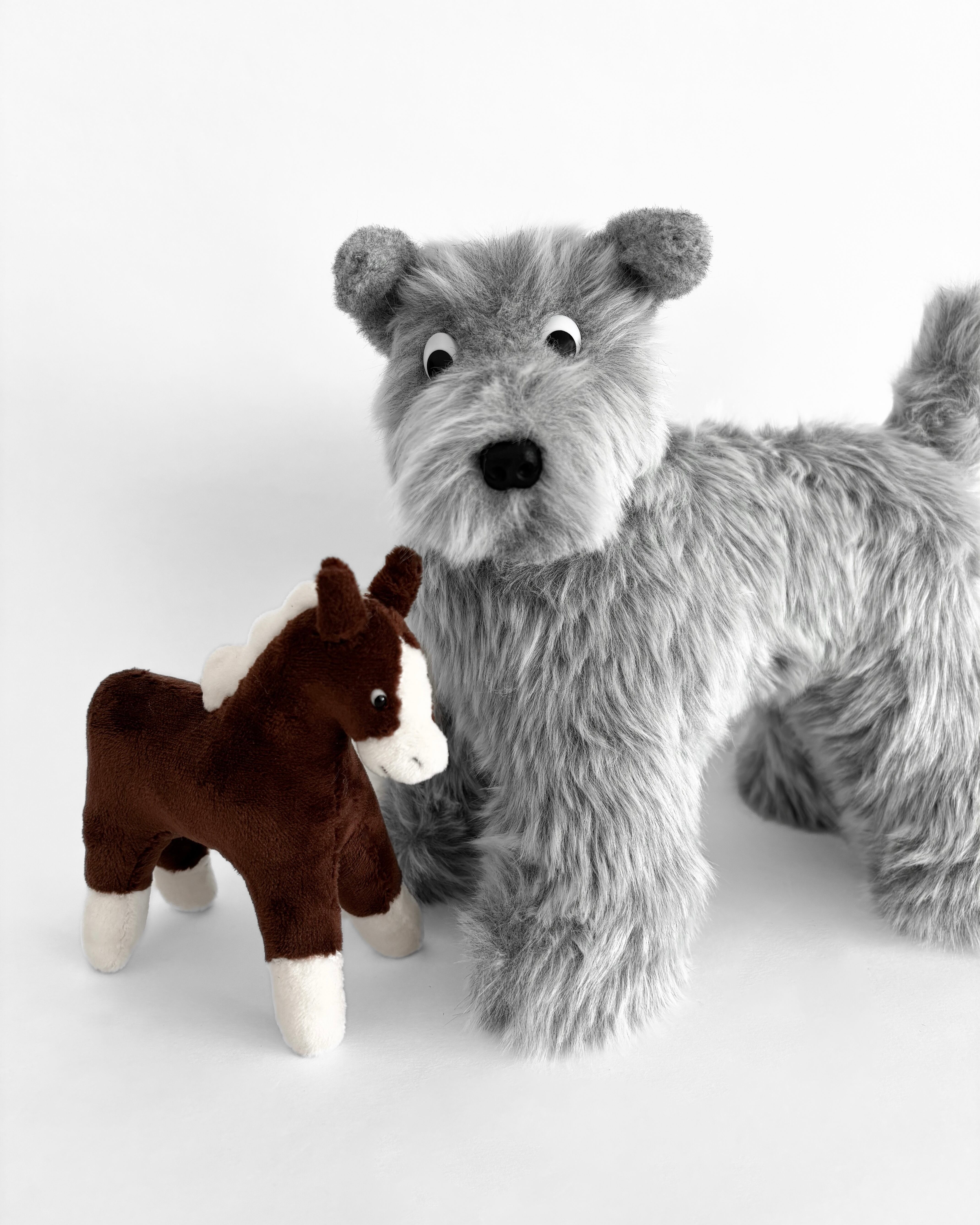 gray dog with horse | wani souma