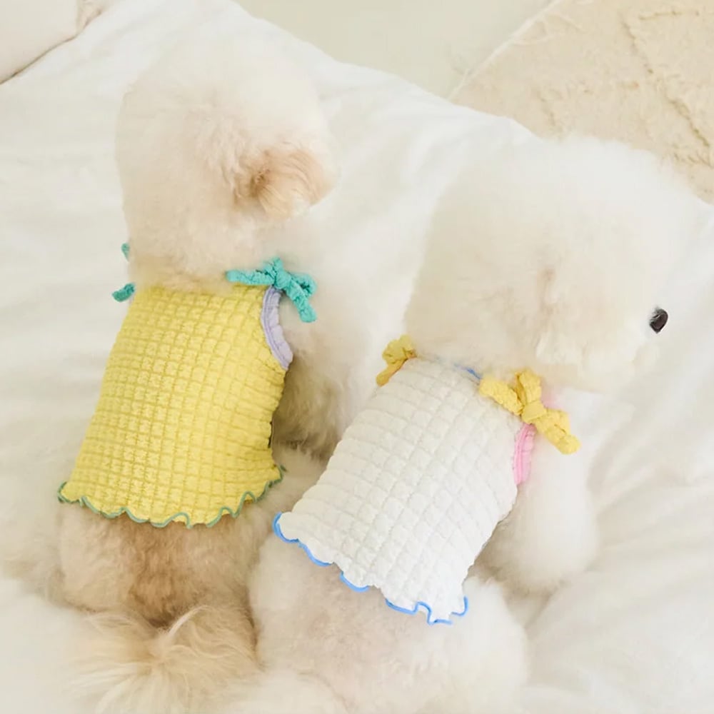 BENNYS ポッピングクロップトップ ドッグウェア ペットウェア 犬服 春
