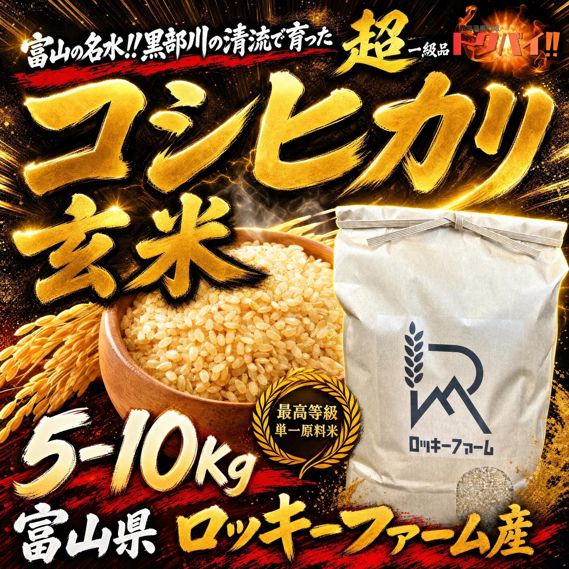 【農家直送】富山県産コシヒカリ 玄米10kg / 令和7年産 / 単一原料米 / 一等米 / ロッキーファーム / 産地直送 / 名水百選︎ 黒部川の清流で育った自慢のお米