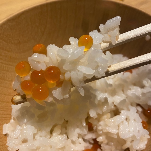 農薬:栽培期間中不使用・有機肥料使用 棚田米　コシヒカリ　10キロ（精米前）