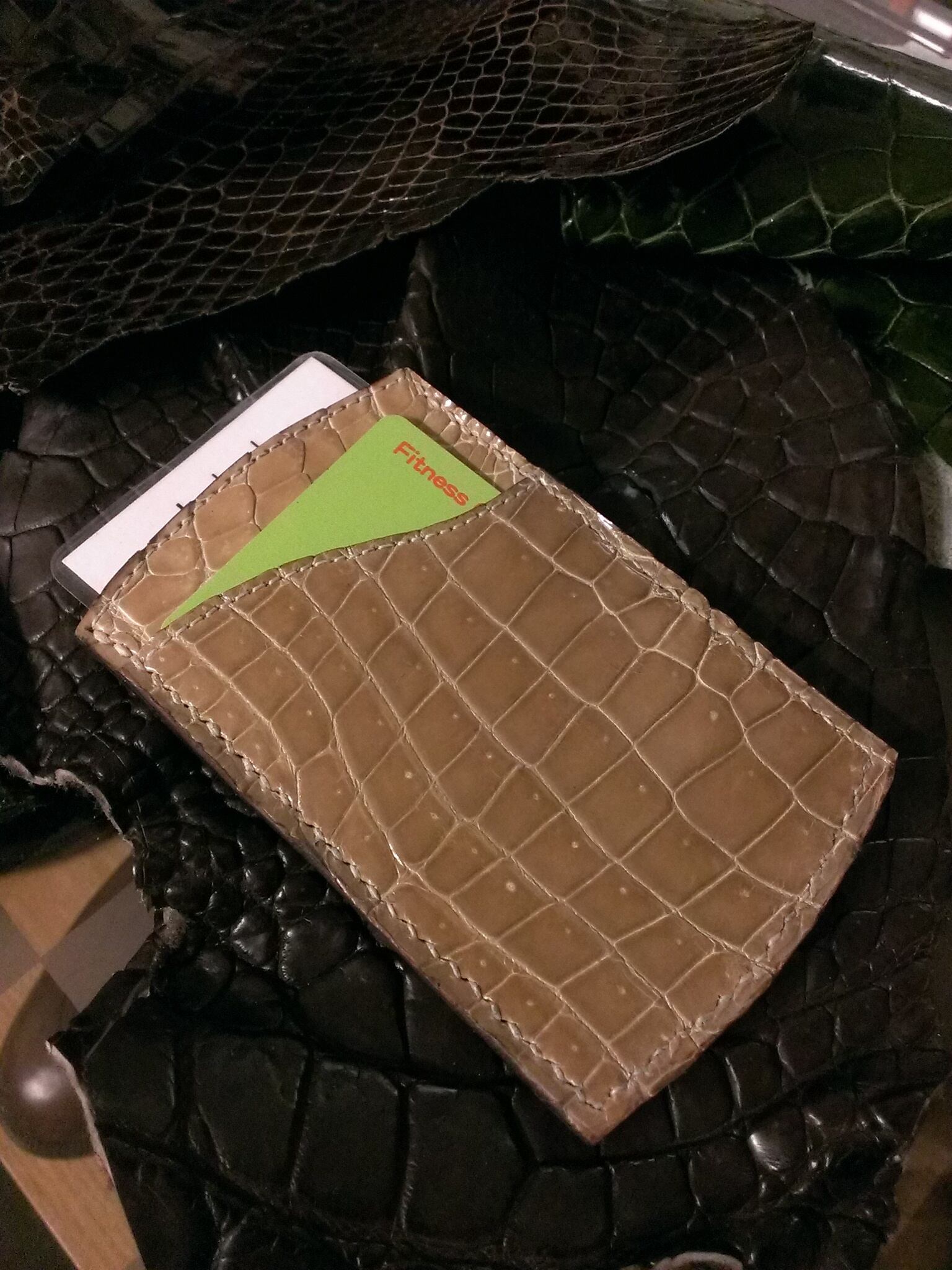 クロコダイルパスケース