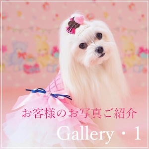＊Gallery・1＊