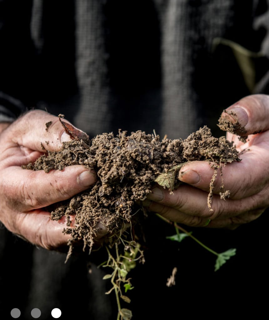 【カゼ・ティボー】クレイエール NV