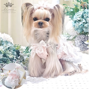 予約【№B01823】JELLY フラワーモチーフ レースフリル 妖精ワンピ 予約【№B01823】JELLY フラワーモチーフ レースフリル 妖精ワンピ