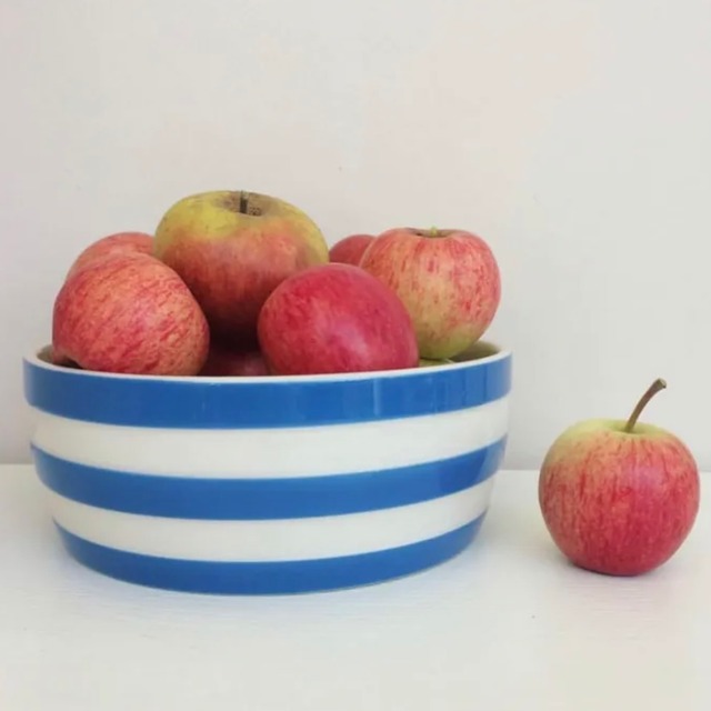 【cornishware】ドッグボウル