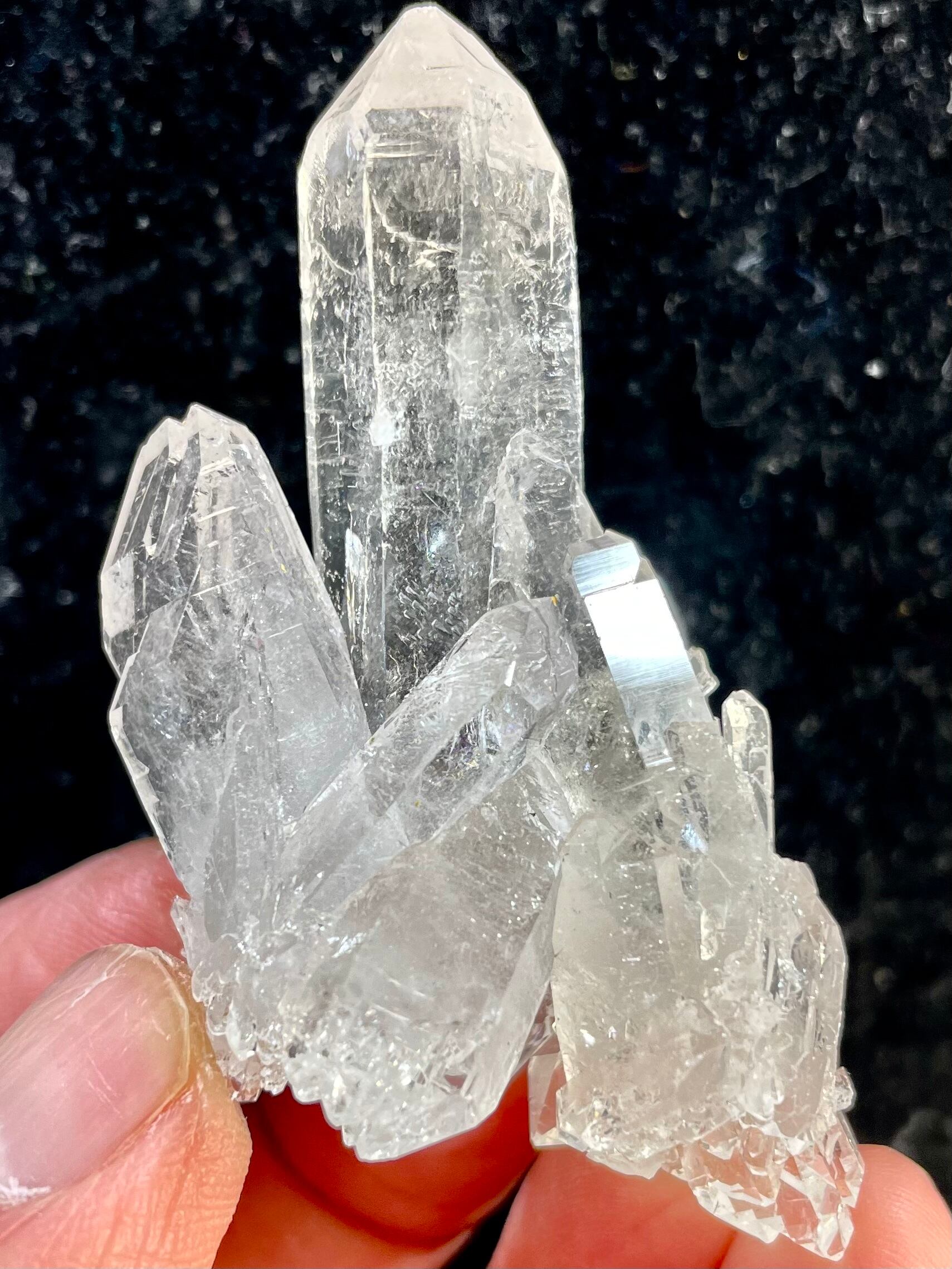 12) ゼッカデソーザ・クリスタル(超美品)