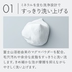 ザ ウォッシュ