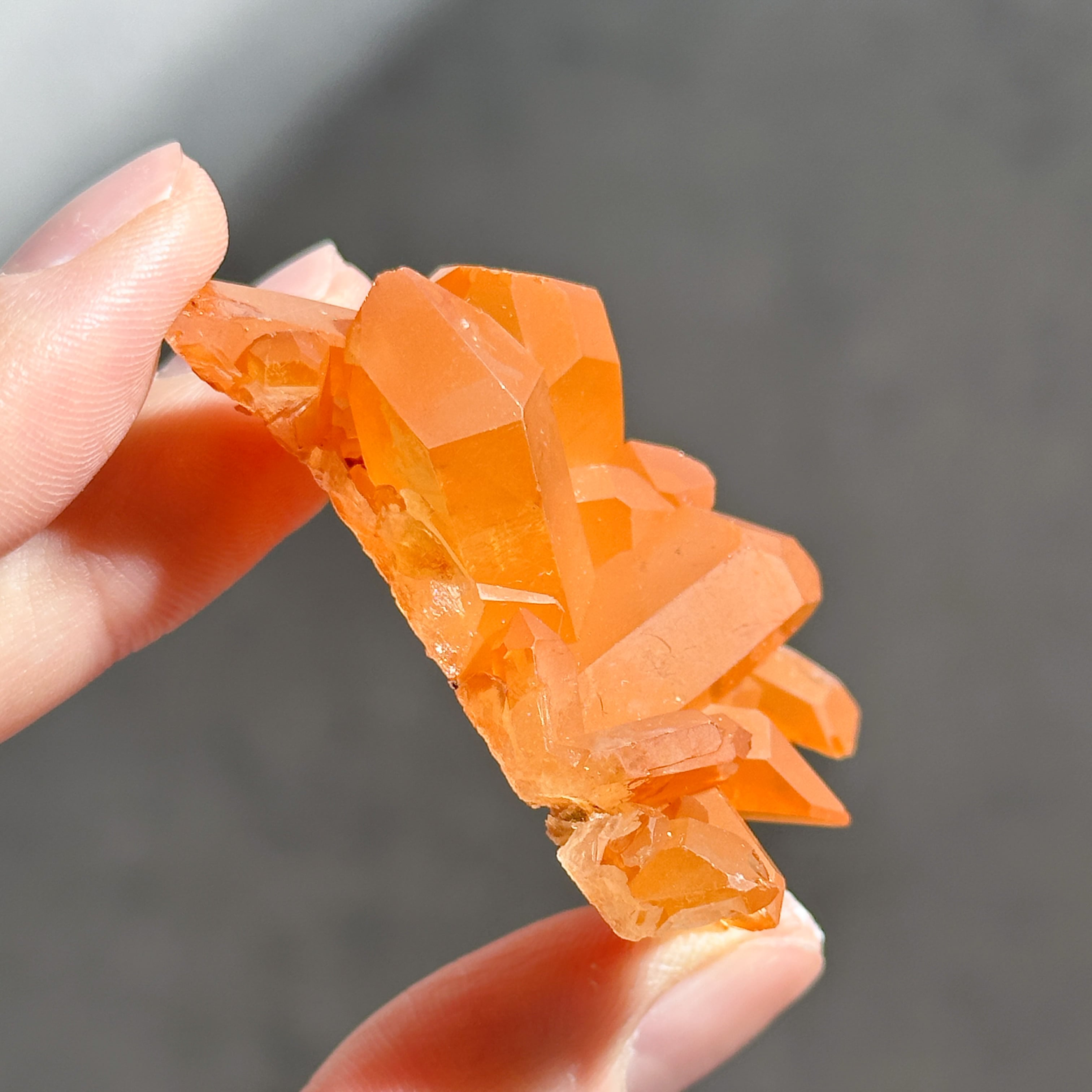 チョコレートカルサイト龍亀他、ダンジェリンクォーツクラスター、4点セット！ チョコレートカルサイト龍亀他、ダンジェリンクォーツクラスター、4点