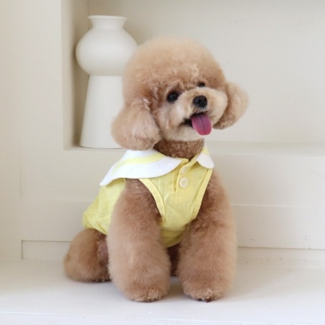 即納【chiot】パステルリネンケープトップ　イエロー