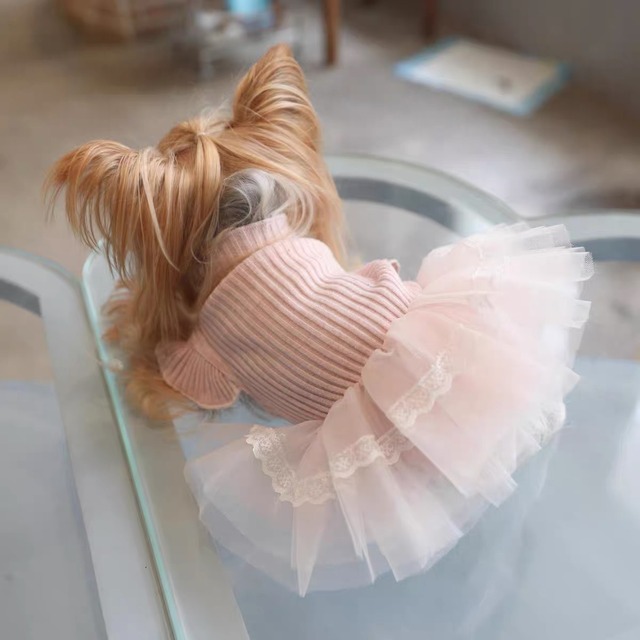 fairy tulle knit one-piece