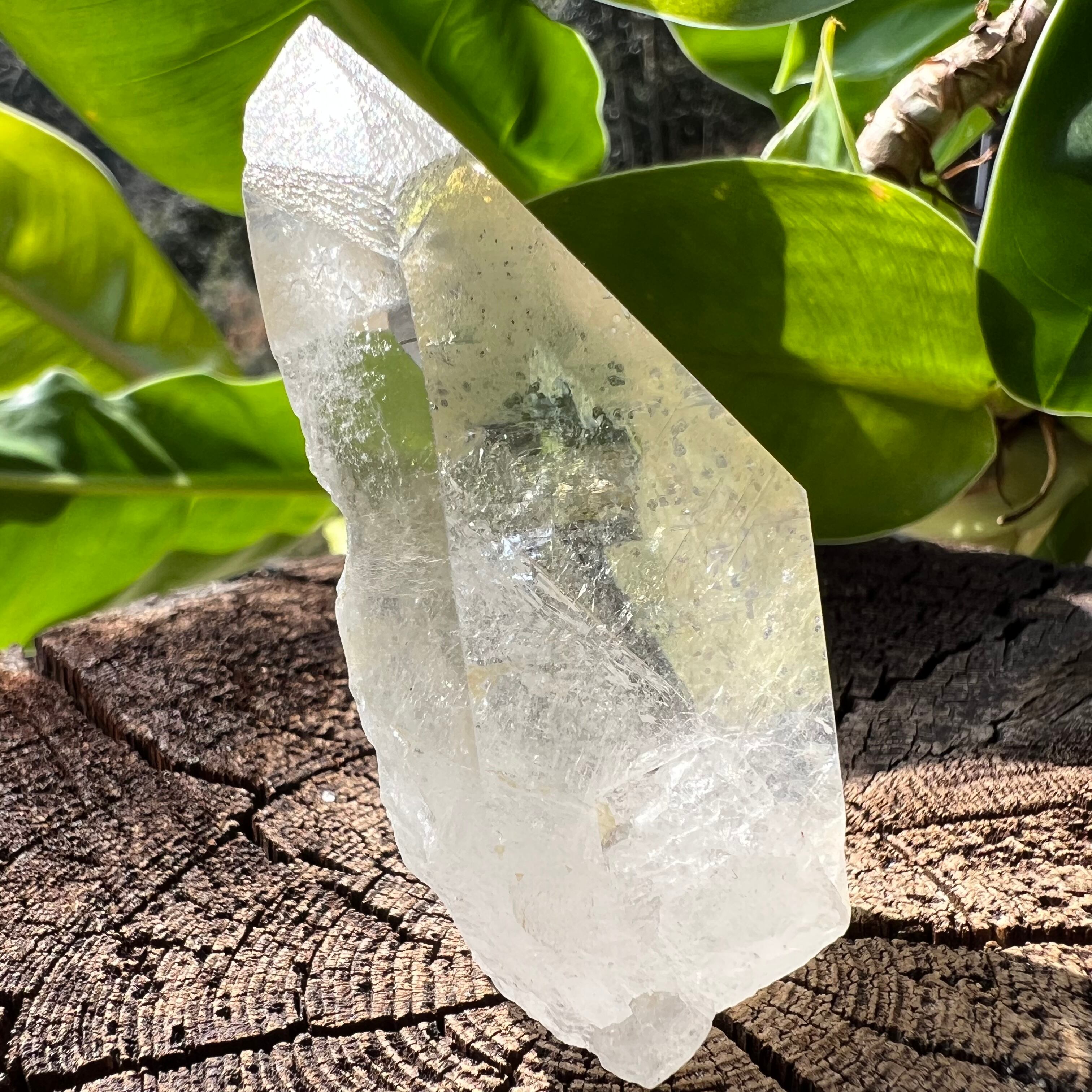 ご検討取り置き品◎ブラジル産ゴールデンヒーラークォーツ ハーフ