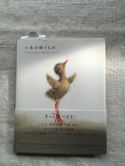 『小鳥の贈り物』ビルッコ・ヴァイニーオ著 - 画像1