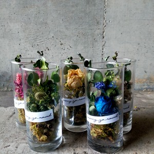 タンブラーアレンジメント【Dried Flowers in tumblr】