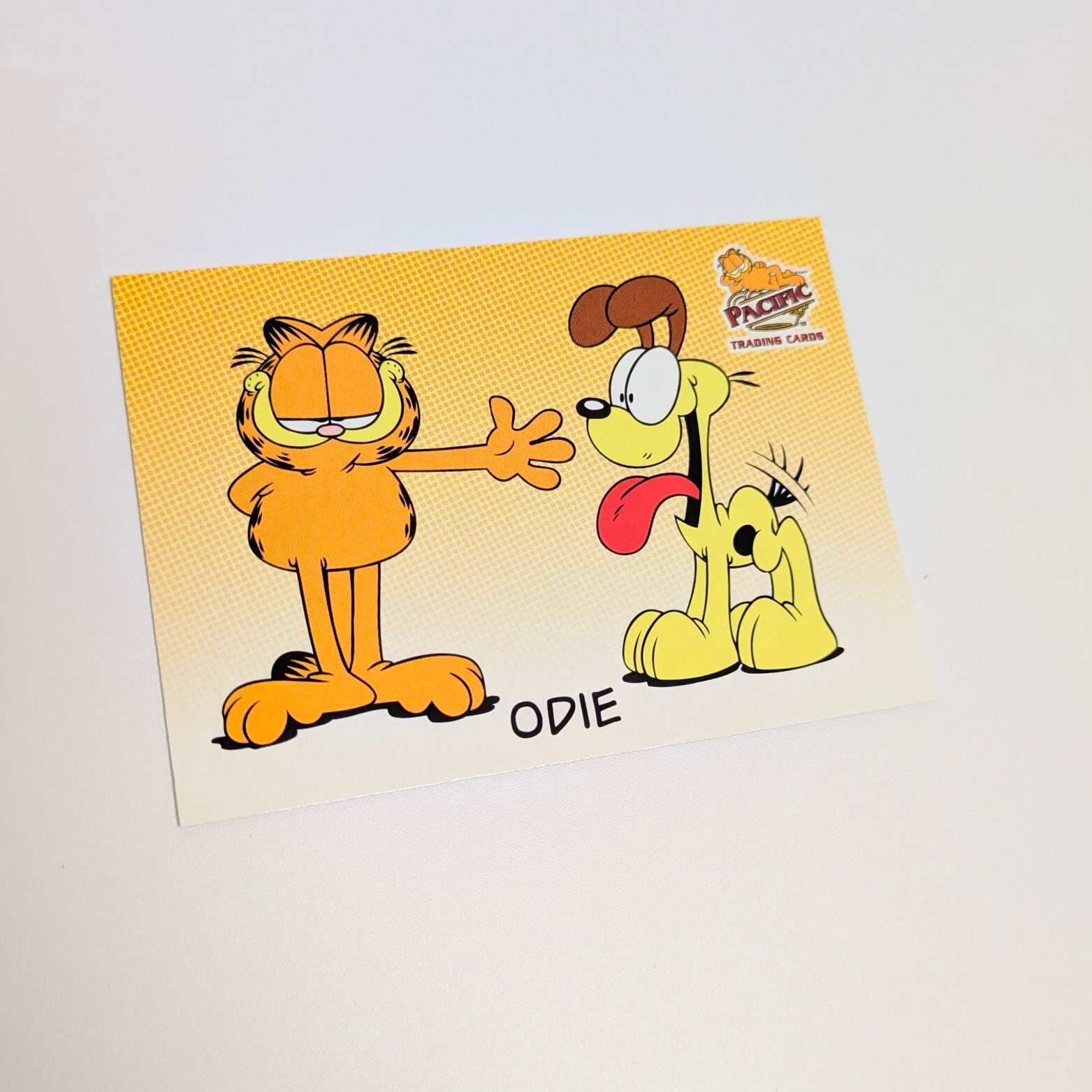 送料無料！☆ DEADSTOCK / VINTAGE 2004 ☆【 Garfield