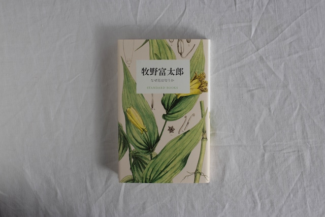 【再入荷】牧野富太郎　なぜ花は匂うか／牧野富太郎