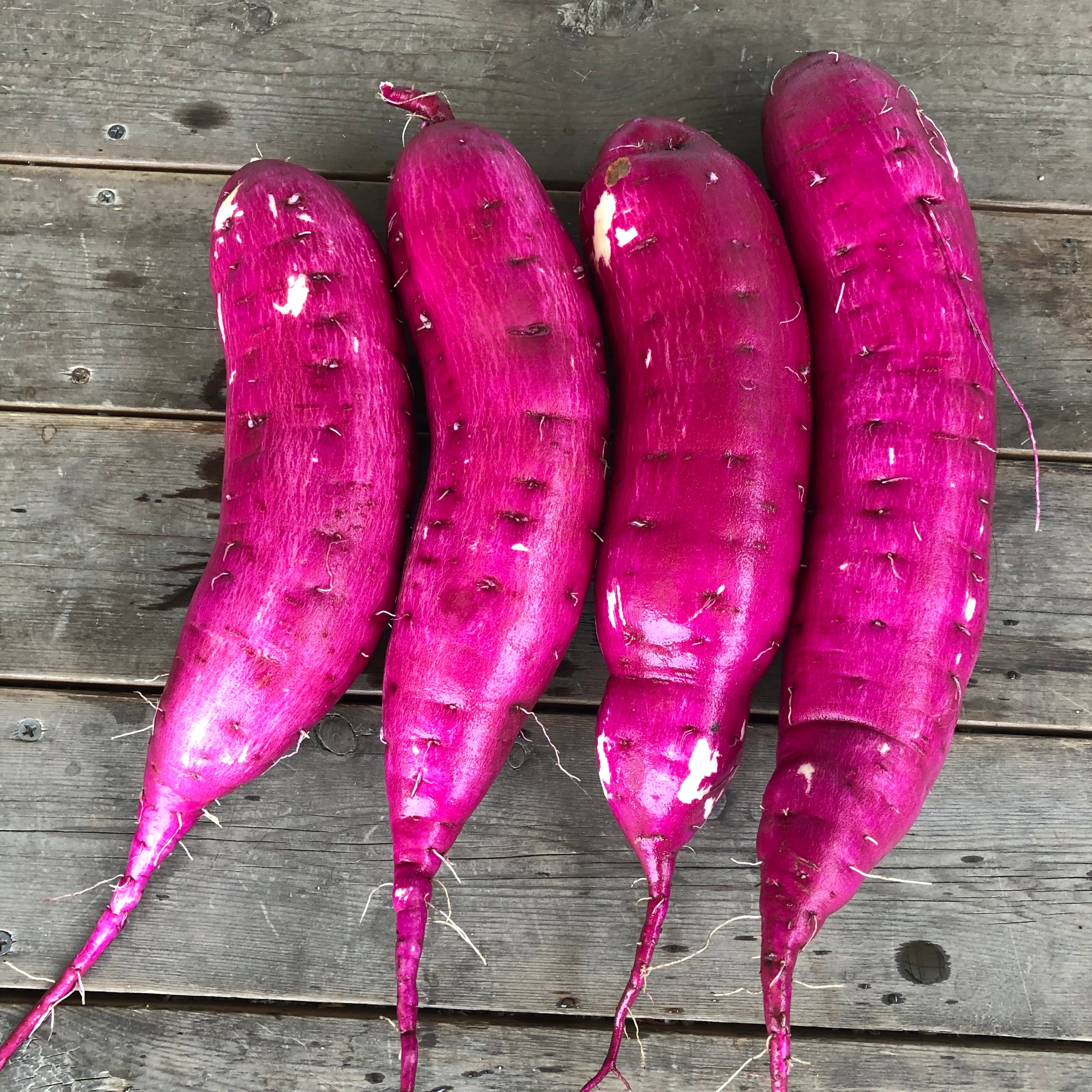 イモが最愛セット(里芋1kg前後+さつまいも1kg前後 計2kg】 | コザワ