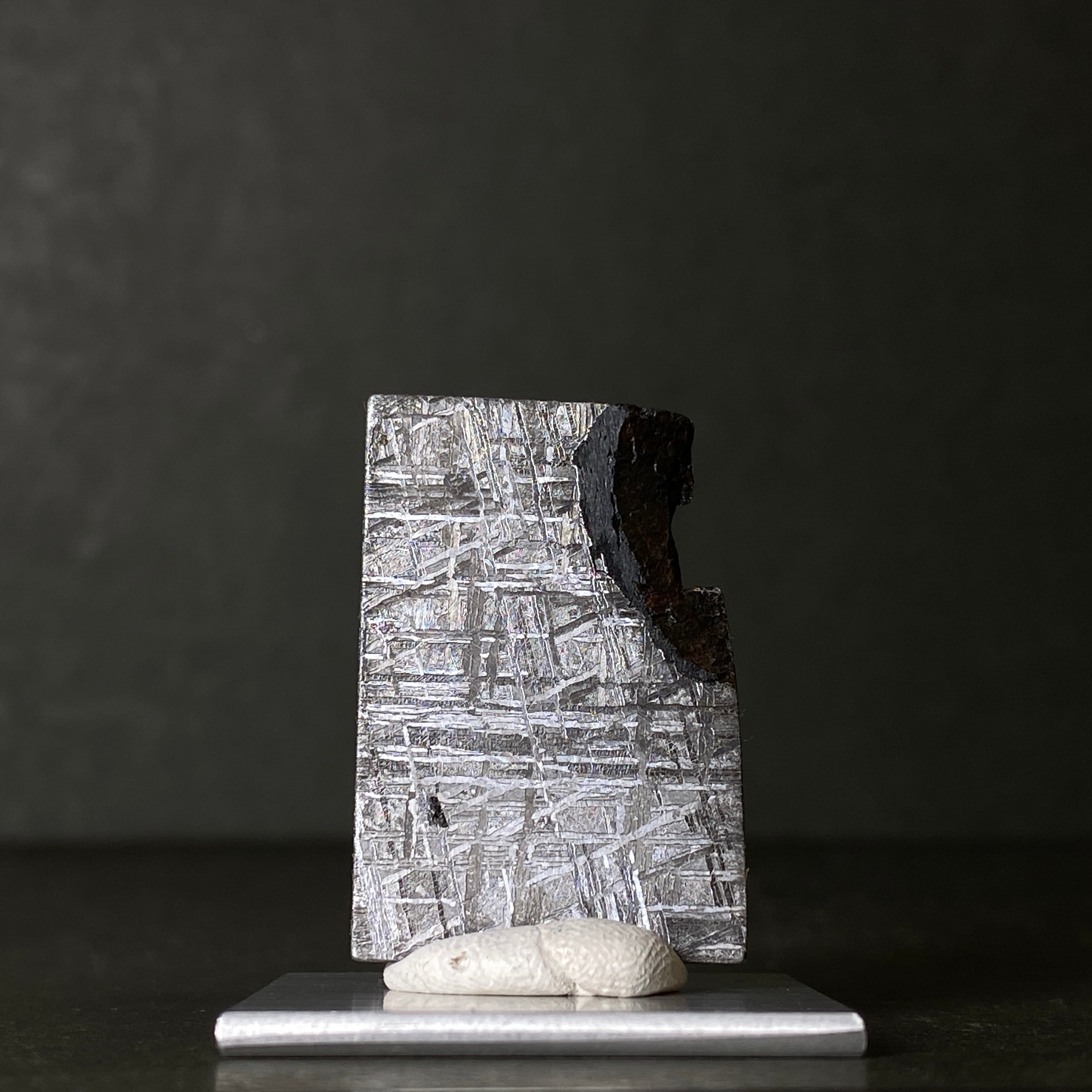 Gibeon ギベオン | 【隕石屋】METEOS（メテオス）