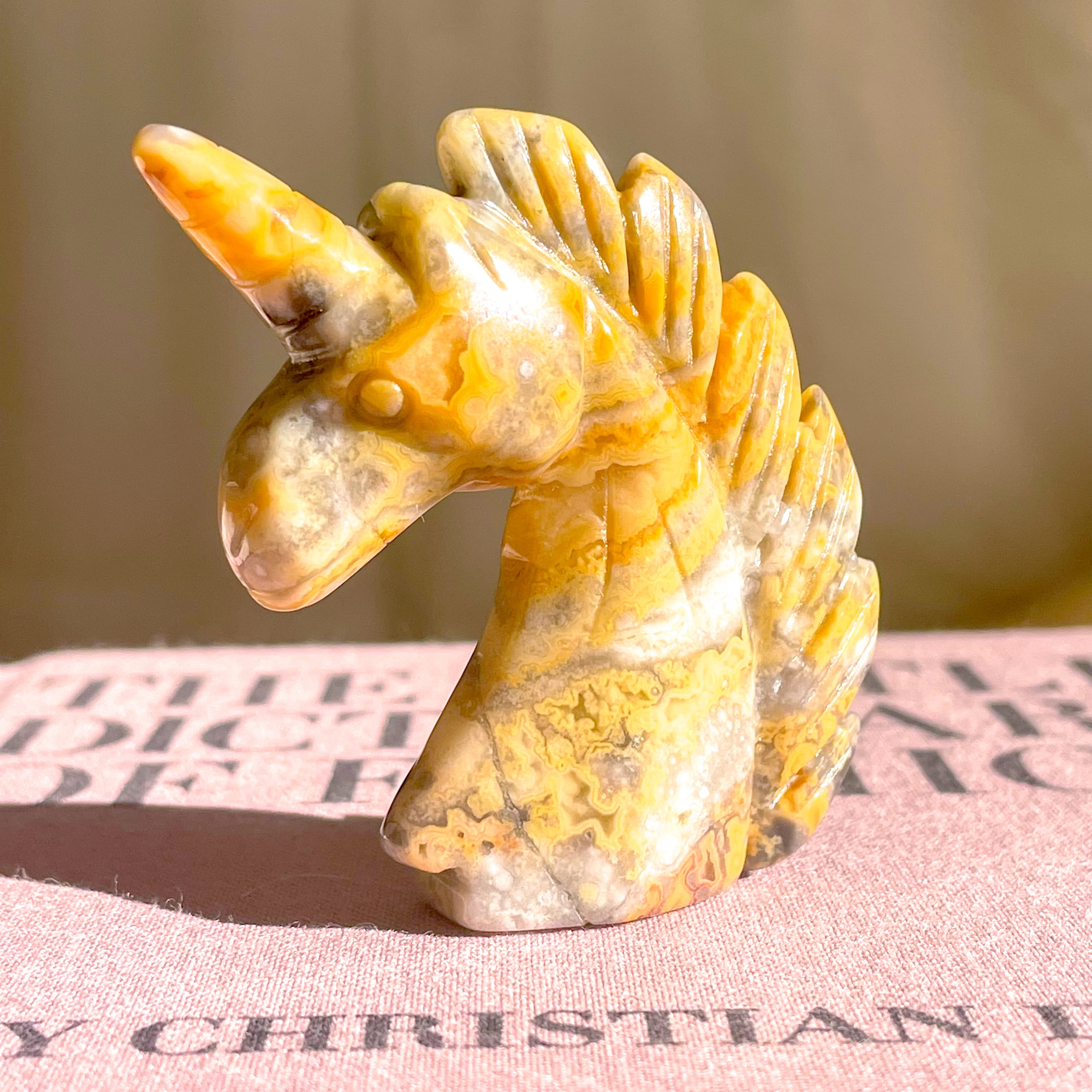 Crazy Lace Agate Unicorn ✧ クレイジーレースアゲート