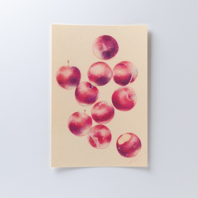 夏の果実 | ポストカード