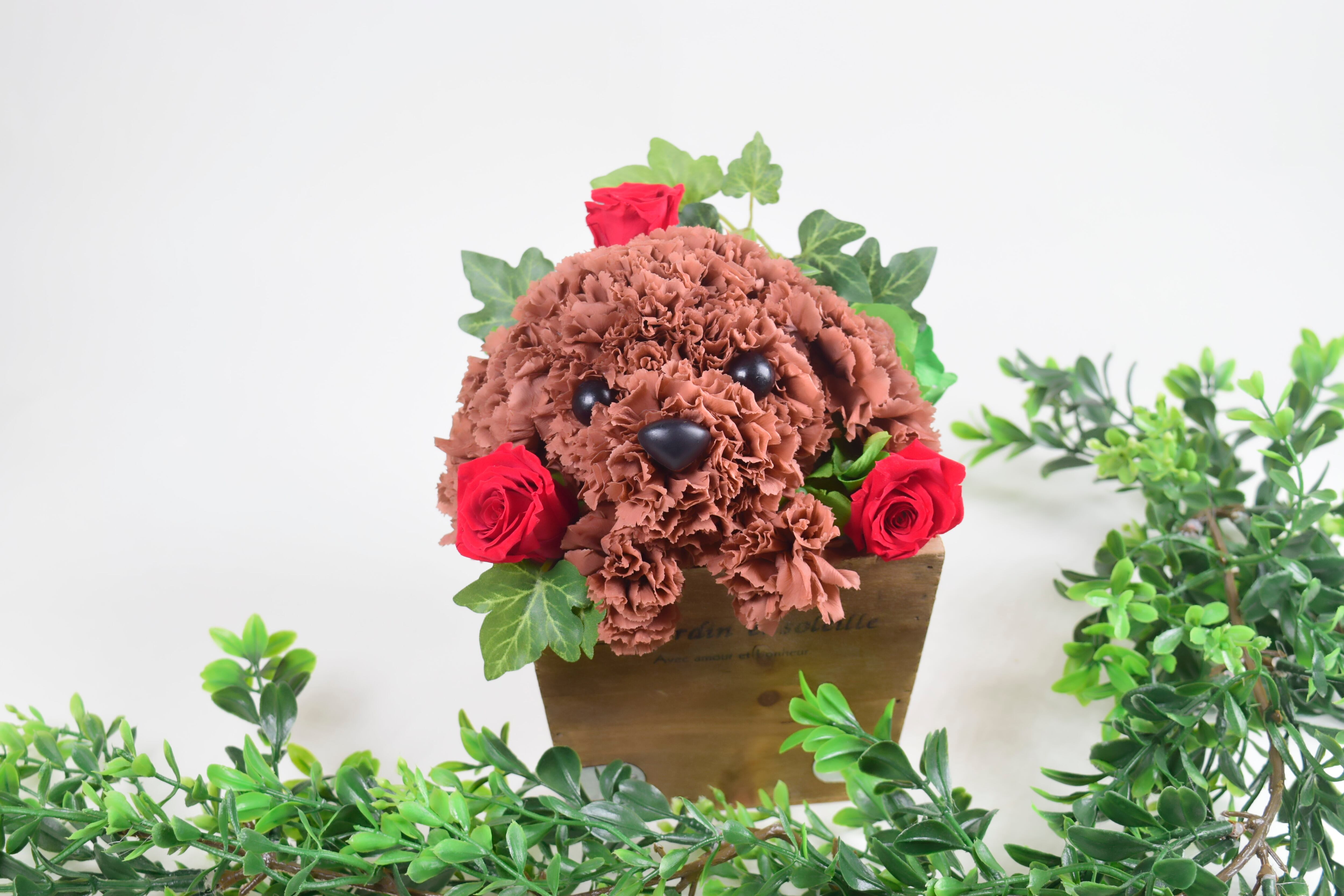 トイプードル プリザーブドフラワー 花っぷりフラワーペット カーネーション 動物 犬 誕生日 母の日 お供え プレゼント ペット 花 すりすとん 枯れない花工房