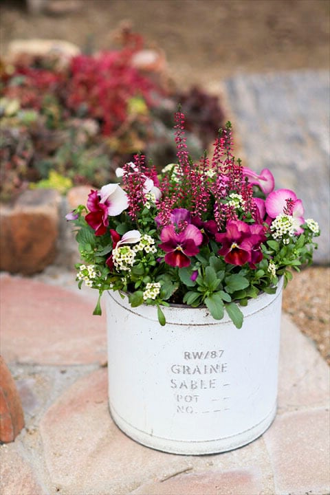 クレマチス 風の方位 | オニ通