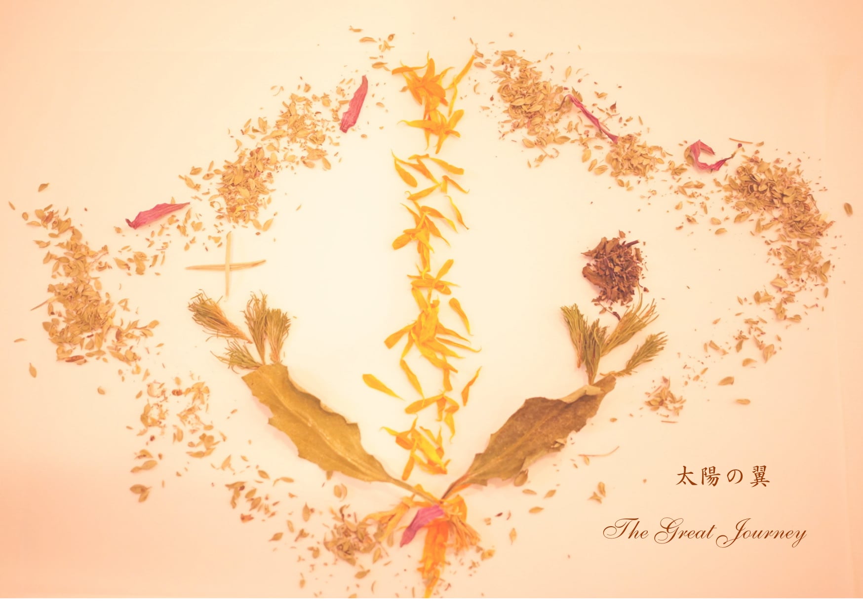 太陽の翼 〜The Great Journey ~