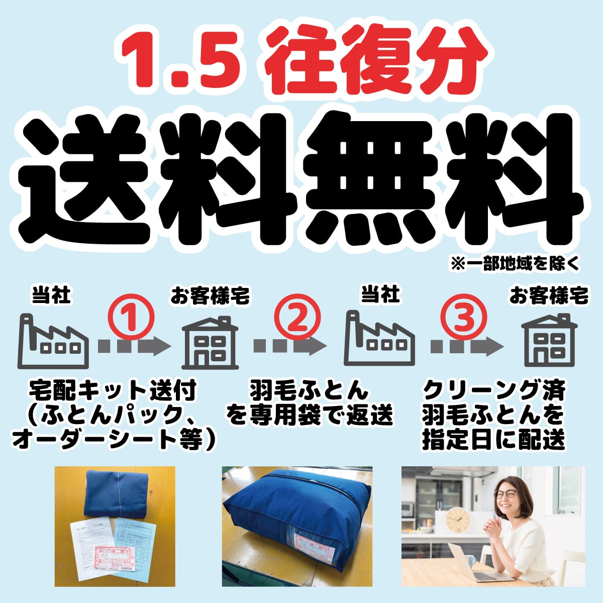 Fパック便～シングル1枚【防ダニ加工】 | 