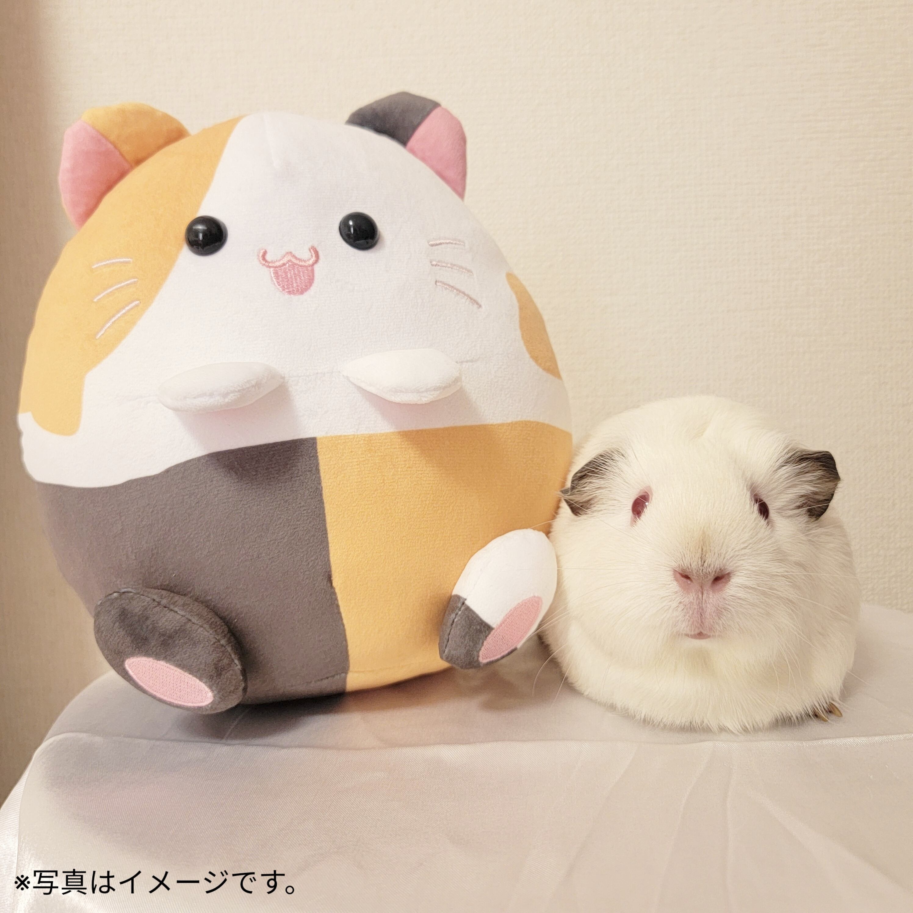 みたらしぬいぐるみ | mofucafe