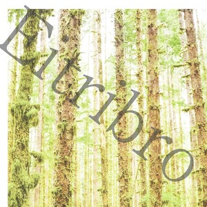 アートポスター / Shining forest　eb103