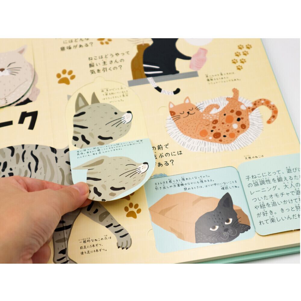 猫絵本(にゃんとわかるねこのひみつ) | マスノヤ衣料品店・マスノヤ猫