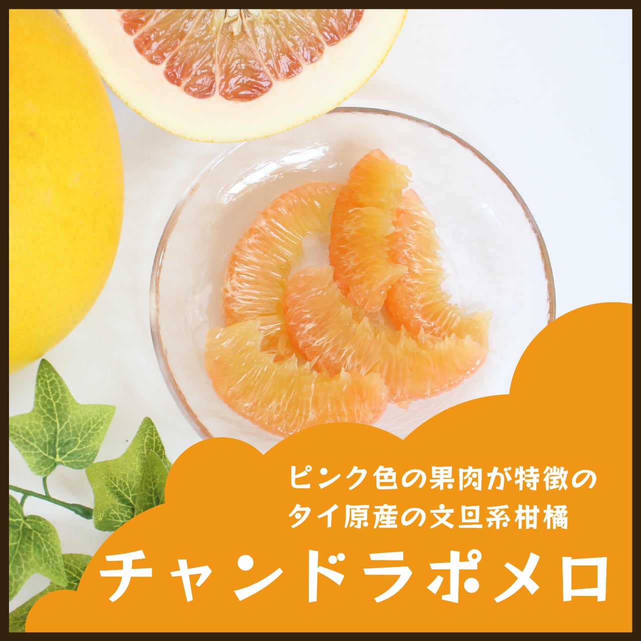 チャンドラポメロ　20キロ箱込み チャンドラポメロ3kg 家庭用【送料無料】 | 蔵出しみかんの産地直送