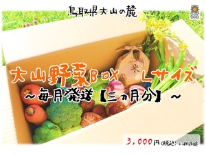 【毎月発送～三ヵ月分～】大山野菜Box　Lサイズ