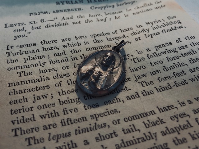 AMERICA vintage médaille top