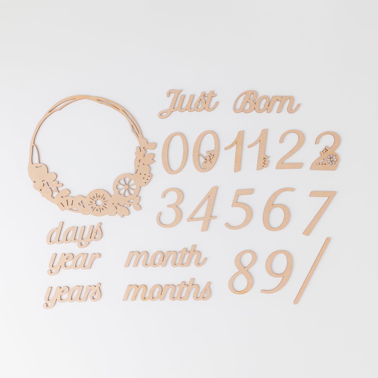 マンスリーカード⌇木製リースつき「フルーツ」/記念撮影, 撮影小物